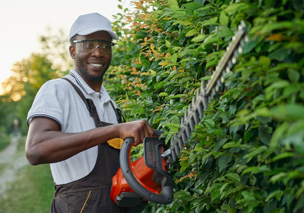 Entretien des jardins